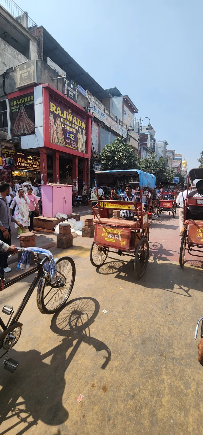 Хотим поблагодарить Хариндру за это приключение! У нас был единственный свободный день в Дели и хотелось