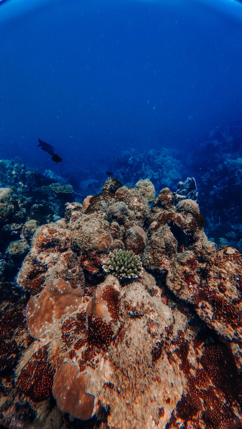 Сегодня у нас был опыт погружения с аквалангом и хочу поделиться своими впечатлениями. Всё прошло на высшем уровне!