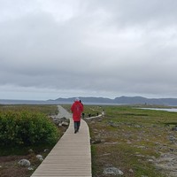 Фото отзыва 4: экскурсия "Красоты Териберки и выход в море на поиски китов!"