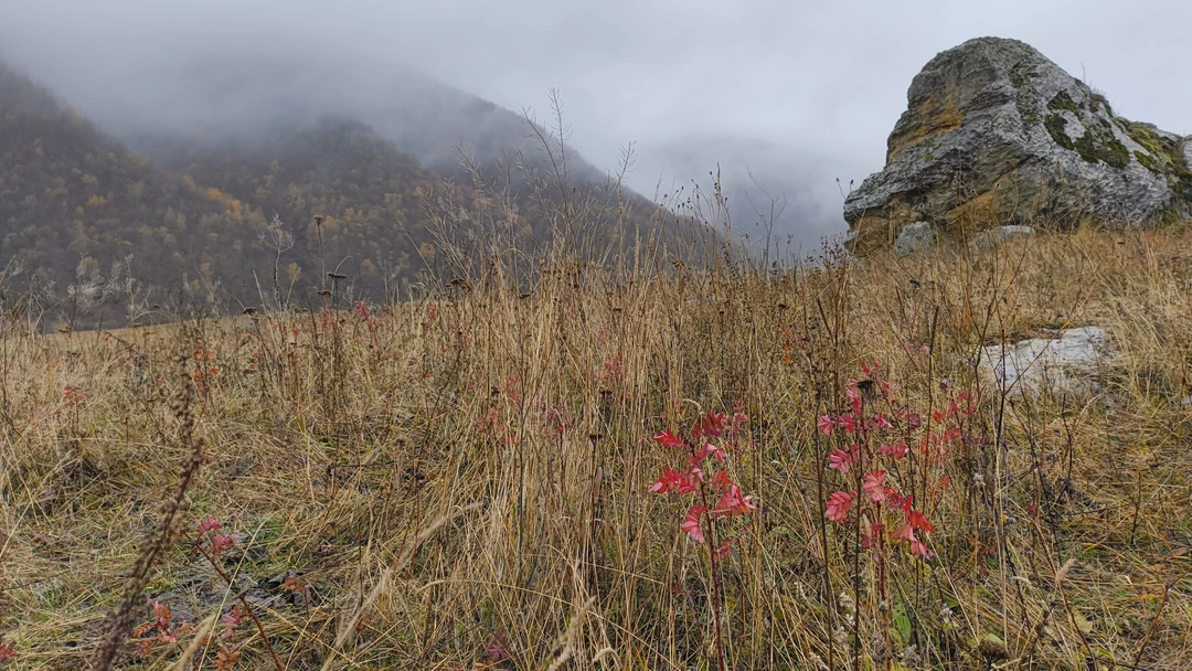 Поездка состоится в любую погоду. Нам не повезло, всю дорогу шел дождь. Вверху гор не было