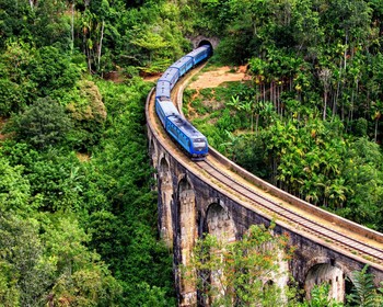 Элла и путь к океану