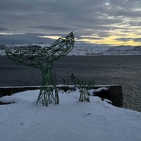 Фото отзыва 3: экскурсия "Териберка: дыхание Ледовитого океана"