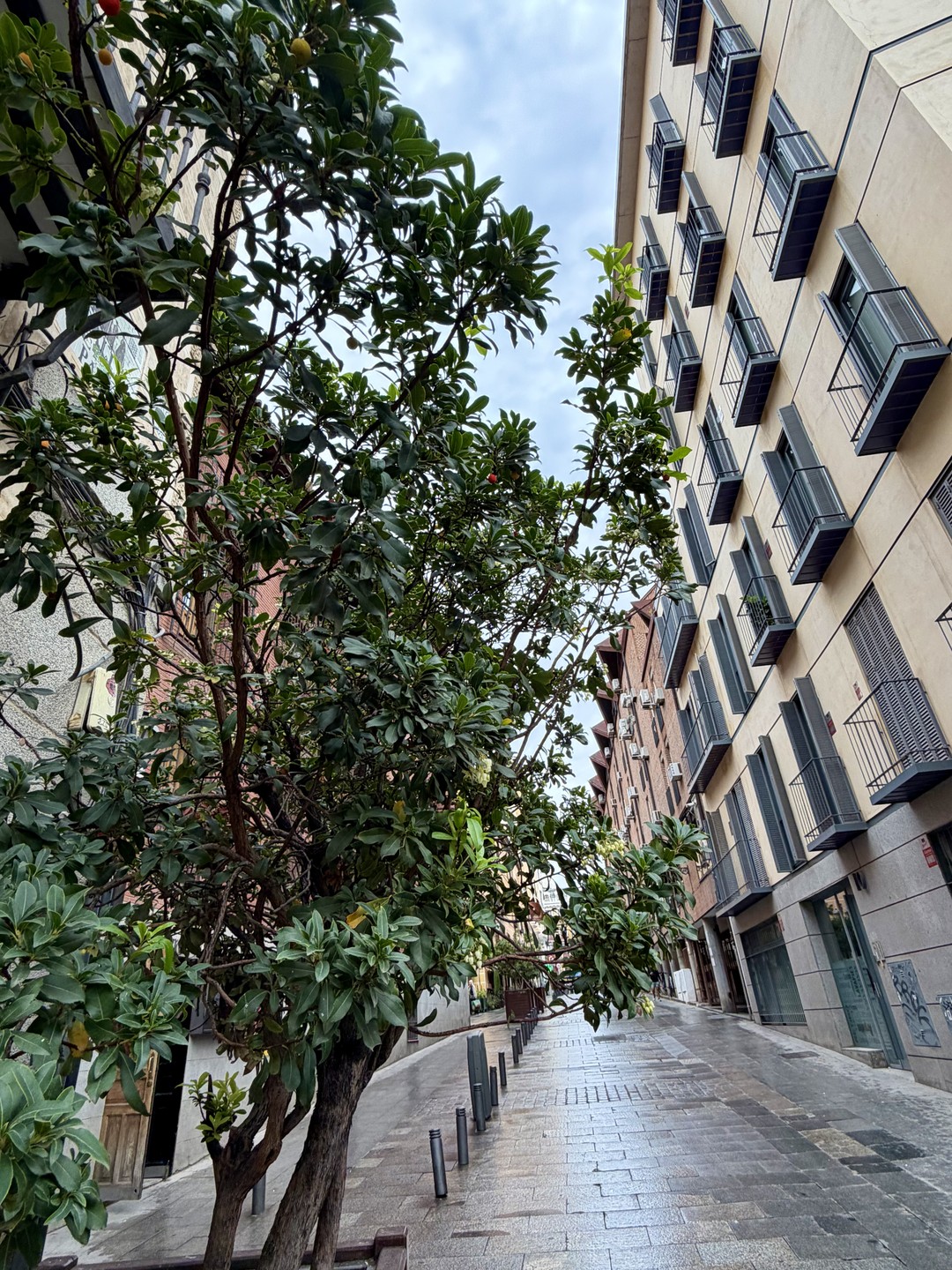 Нелли идеальный гид. Много знаний о Мадриде, любовь к городу, открытая и лёгкая в общении, позитивная