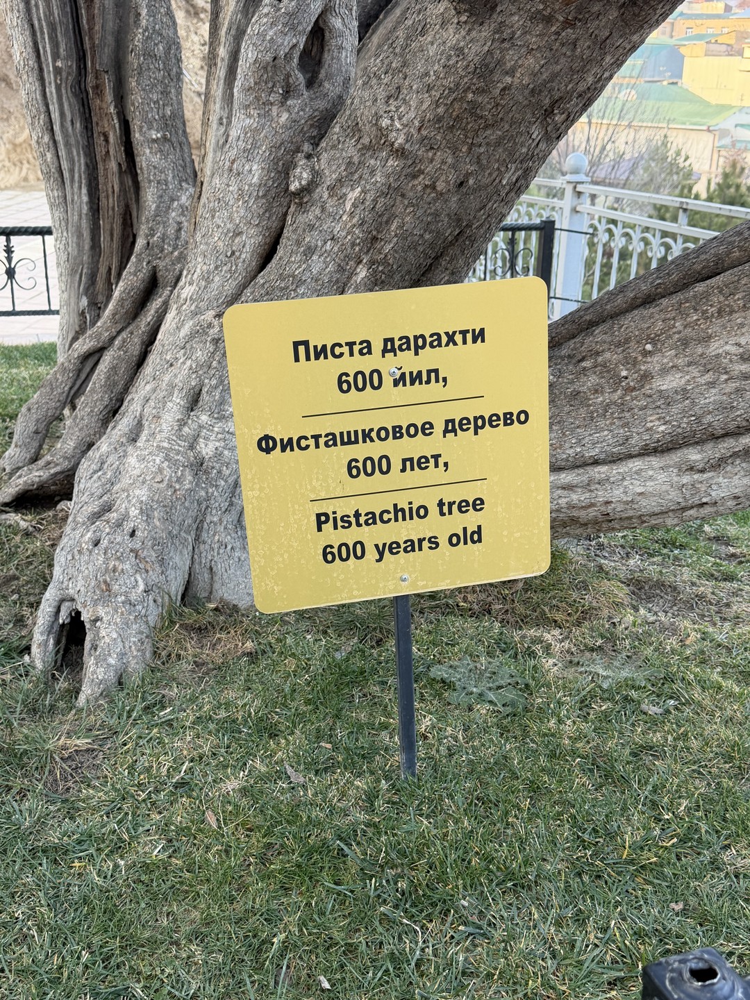 Самарканд - город голубых куполов (Кристина)