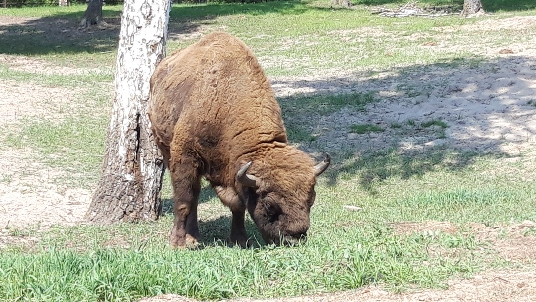 Обожаю природные экскурсии! Там заряжаешся энергией и полностью абстрагируешься от рабочих будней. Вчерашнее путешествие получилось именно