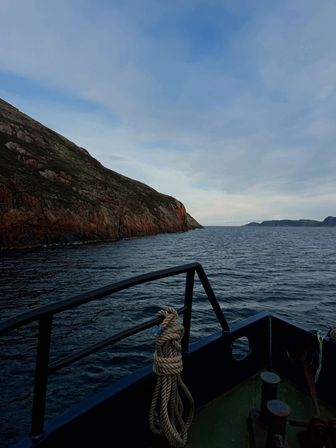 Прекрасная прогулка! Довелось понаблюдать за милыми тюленчиками 🥰