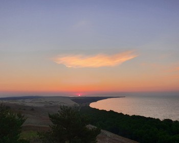 Куршская коса, Танцующий лес и Зеленоградск