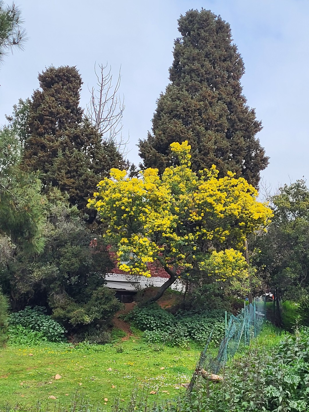 Однодневный побег из Стамбула на Принцевы острова (Ольга)