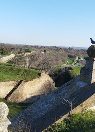 Фото отзыва 4: экскурсия "Знакомьтесь, Нови-Сад!"