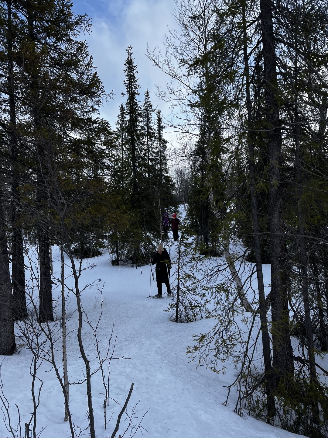 Из Мурманска - по следам снежного человека на снегоступах (Сабрина)