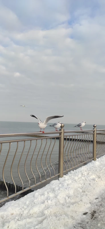 Из Калининграда - в Янтарный и Зеленоградск