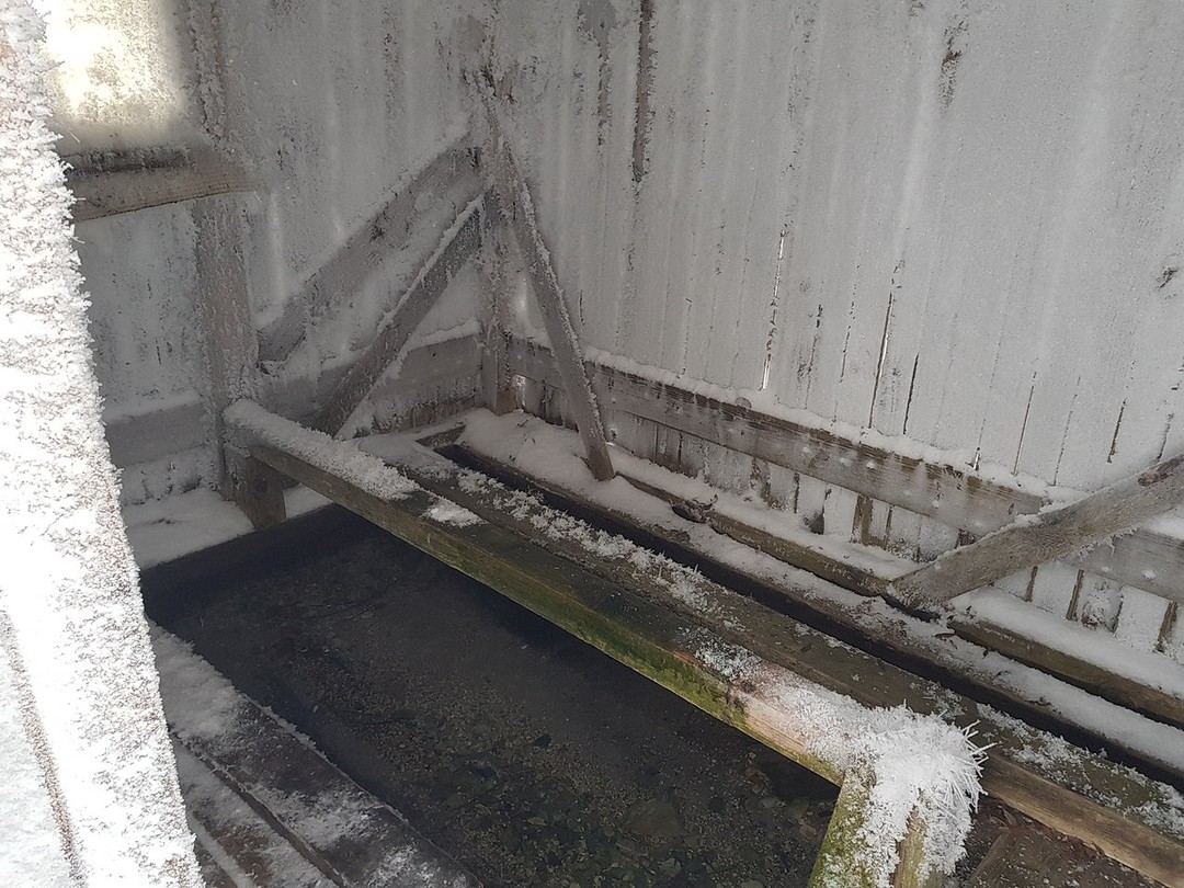 23 февраля началось для нас с экскурсии по Каргополю - и это было верное решение. Прогулка