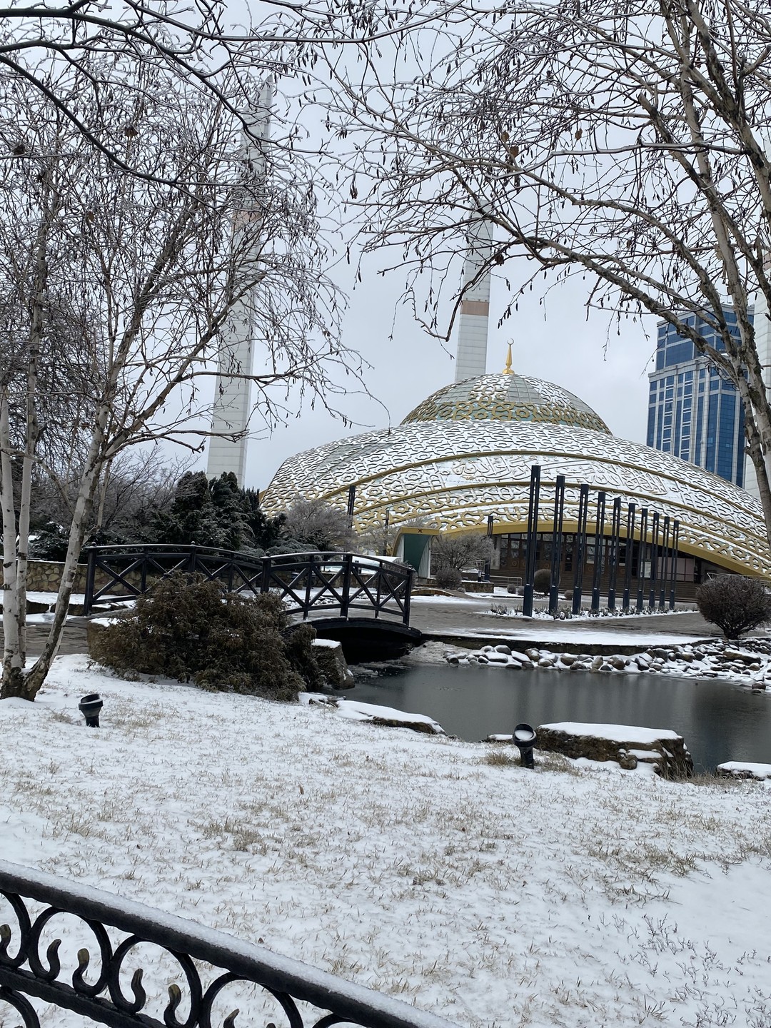 Главные места Чечни за 1 день (в мини-группе) (Ольга)