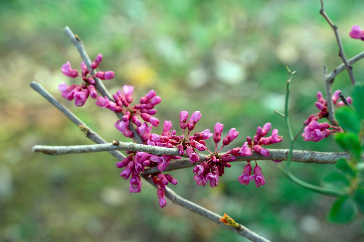 Релакс-поездка к природному спа — из Сухума (9/11)