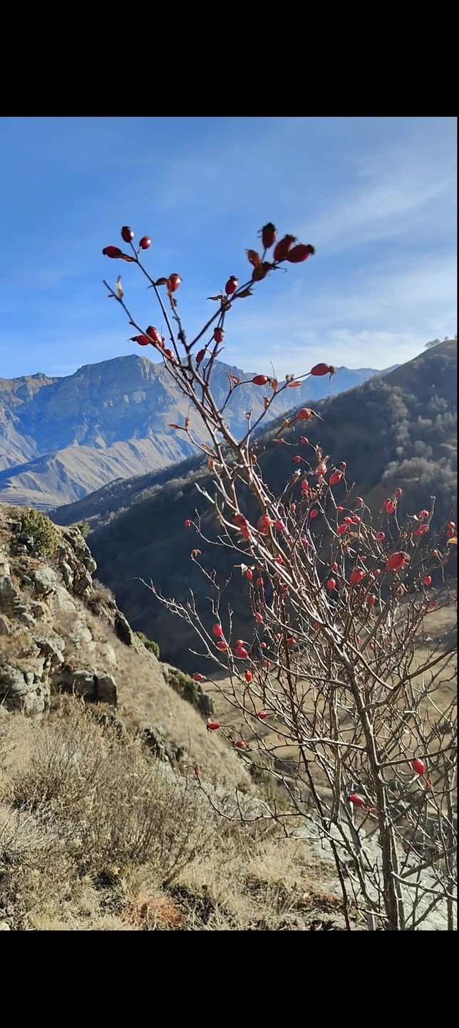 Отличная экскурсия! Гид много чего интересного рассказал и показал. Посетили много захватывающих красивейших локаций, сделали очень