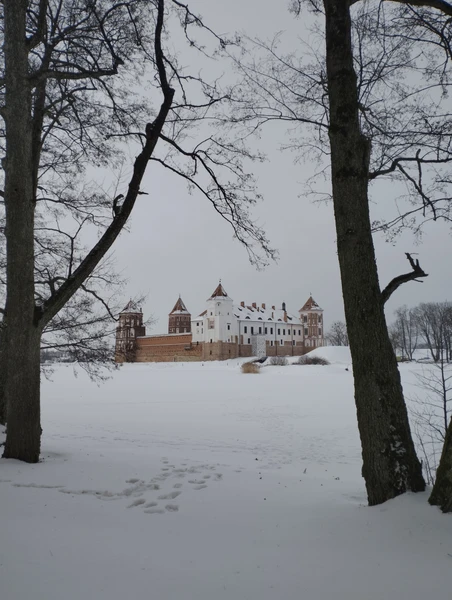 Замки Беларуси: групповая экскурсия в Мир и Несвиж из Минска (Анастасия)