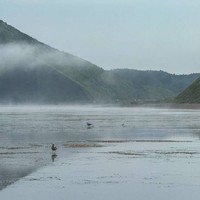 Фото отзыва 3: экскурсия "Те самые Тихая и Клоковский: мыс, водопад, янтарь, Тории, крабы"