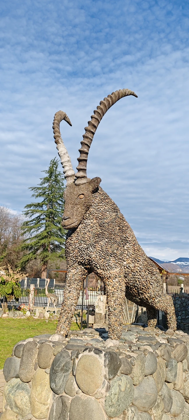 Шикарная экскурсия! Не первый раз были в Абхазии, и по такому же маршруту не первый раз