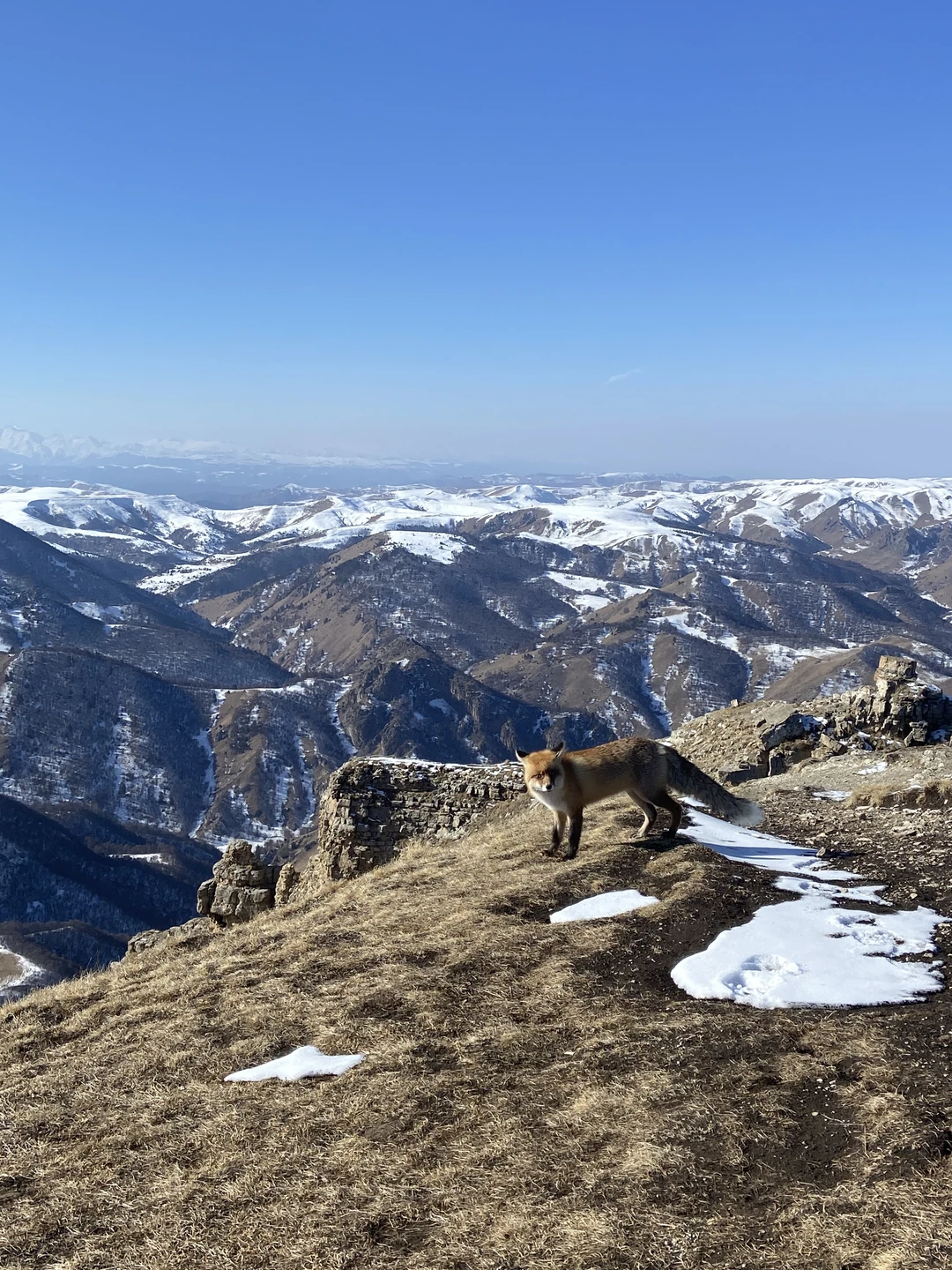 Очень повезло с погодой! Это, конечно, половина успеха. День прошёл незаметно в хорошей компании гида Марата,