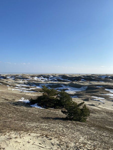 Прекрасная экскурсия, которую стоит обязательно посетить (благодарим экскурсовода Михаила за проведенное время). Экскурсия прошла динамично и