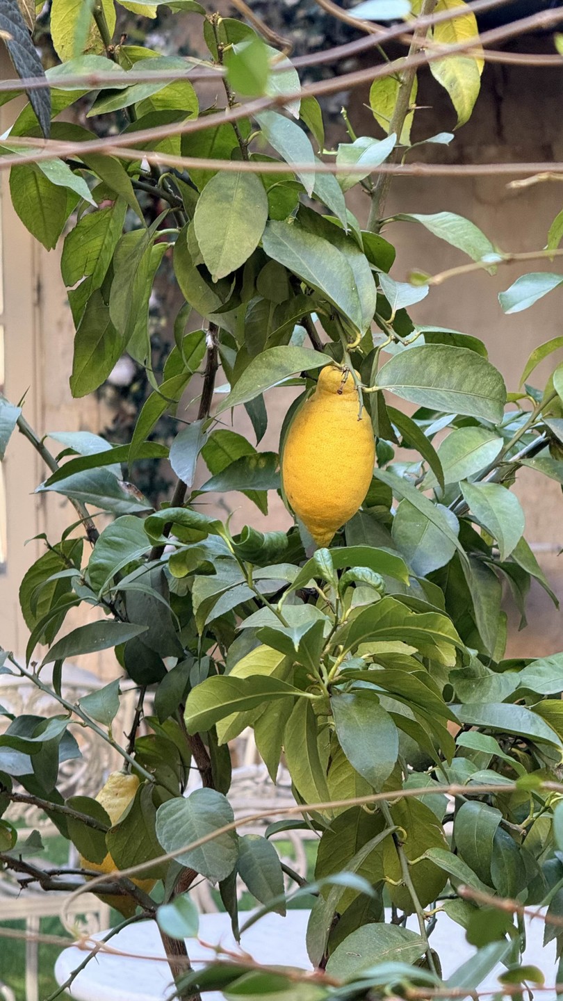 Фантастическая экскурсия! Все в одном, и все по полочкам разложено! И история, и архитектура, и гастрономия!