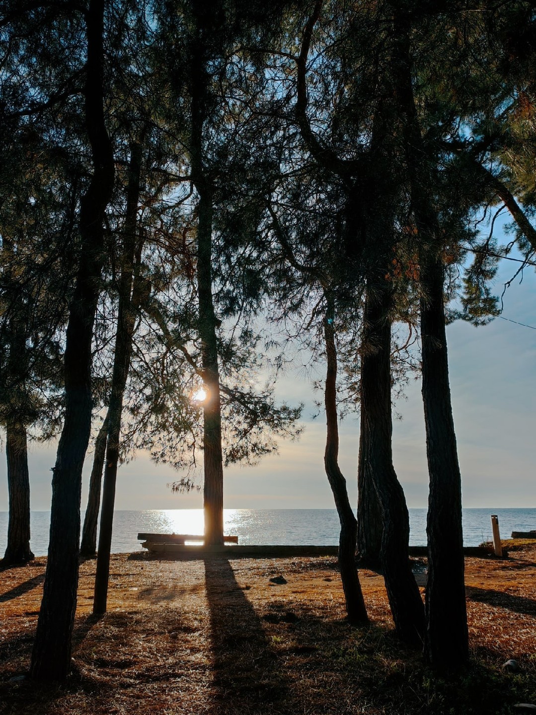 Абхазия Астой (так Астамур разрешил себя называть) это путешествие "для своих". Невероятная любовь к своей земле