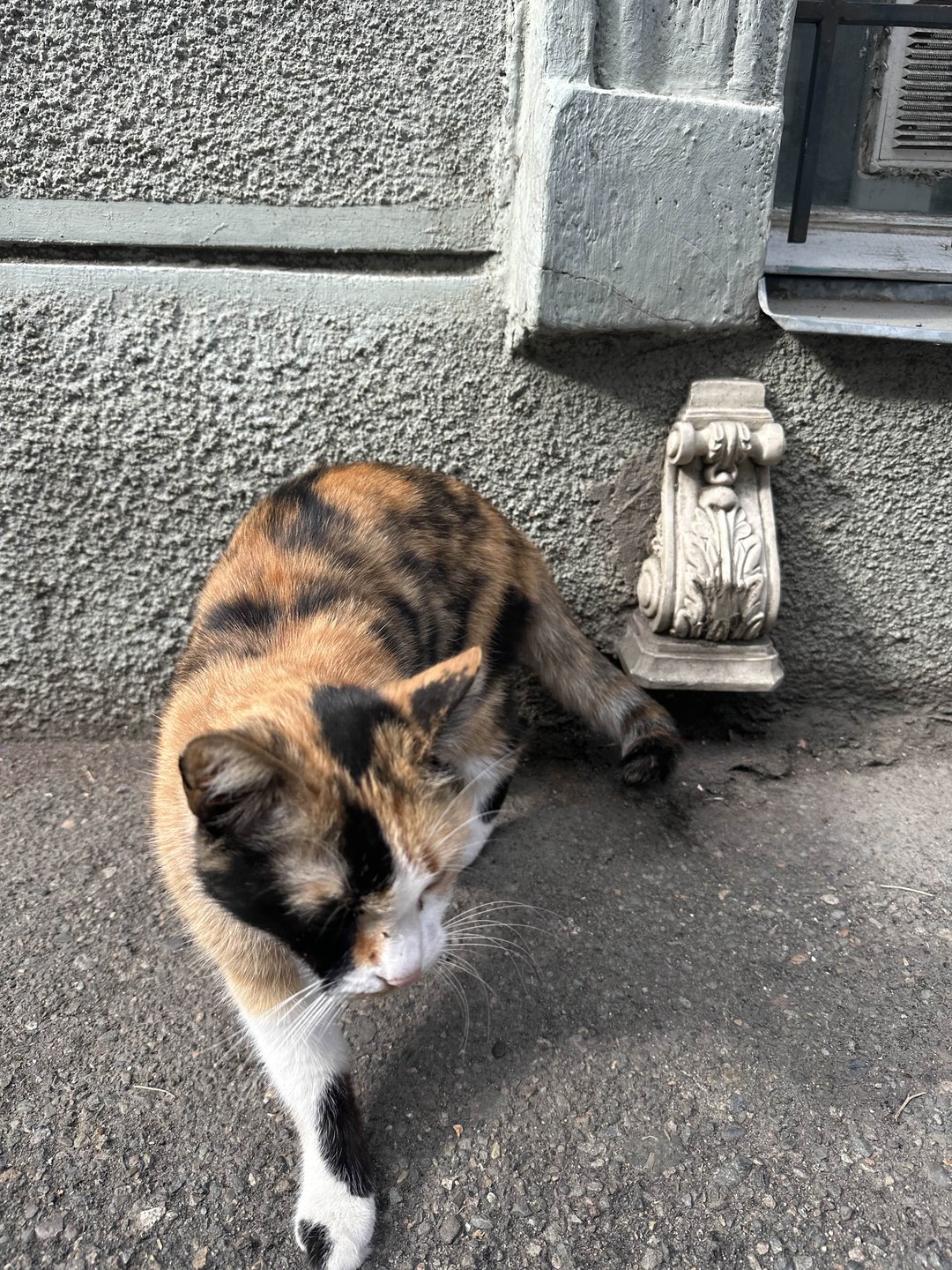 Понравилось все на 100%. Красивый маршрут, живые интересные рассказы, приятная красивая женщина Мария. Очень колоритная, вкусная