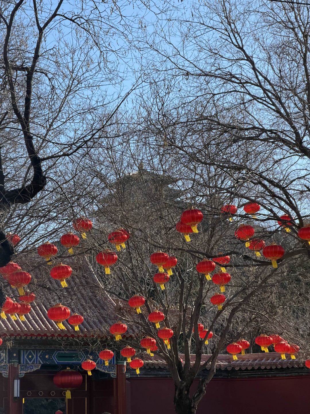 Пекин и Великая Китайская стена за 1 день: индивидуальная VIP-экскурсия (Анастасия)