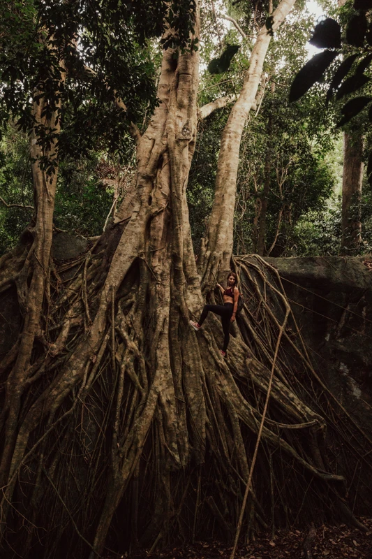 Восхождение на гору по джунглям острова Фукуок