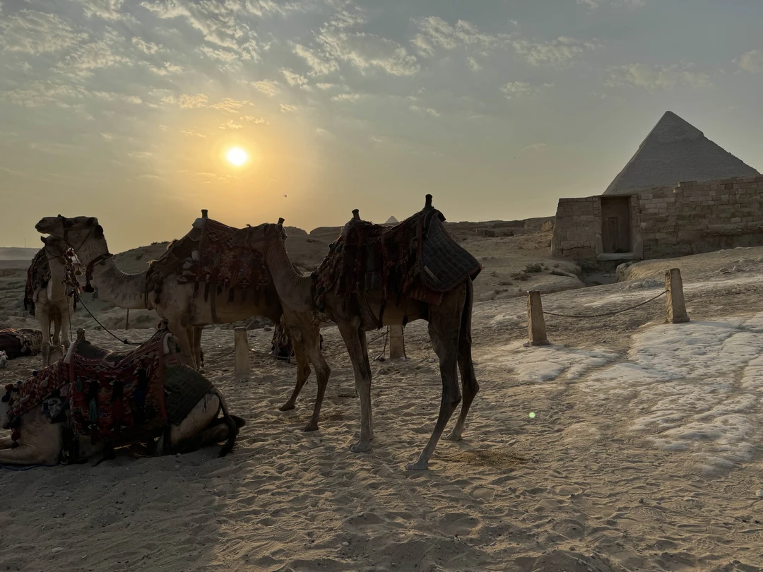 Удивительный Каир: из Хургады в мини-группе (Екатерина)