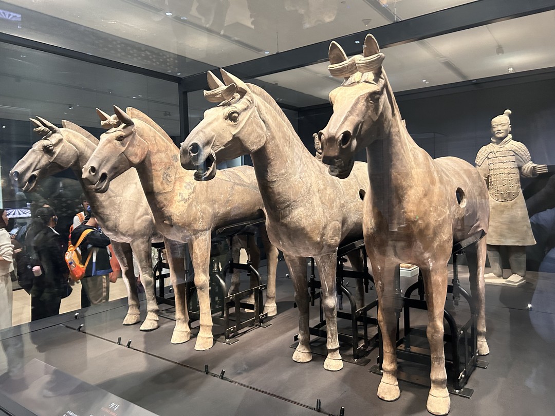 Алина прекрасный гид♥️ огромная благодарность от нашей семьи за невероятное погружение в историю создания терракотовый армии