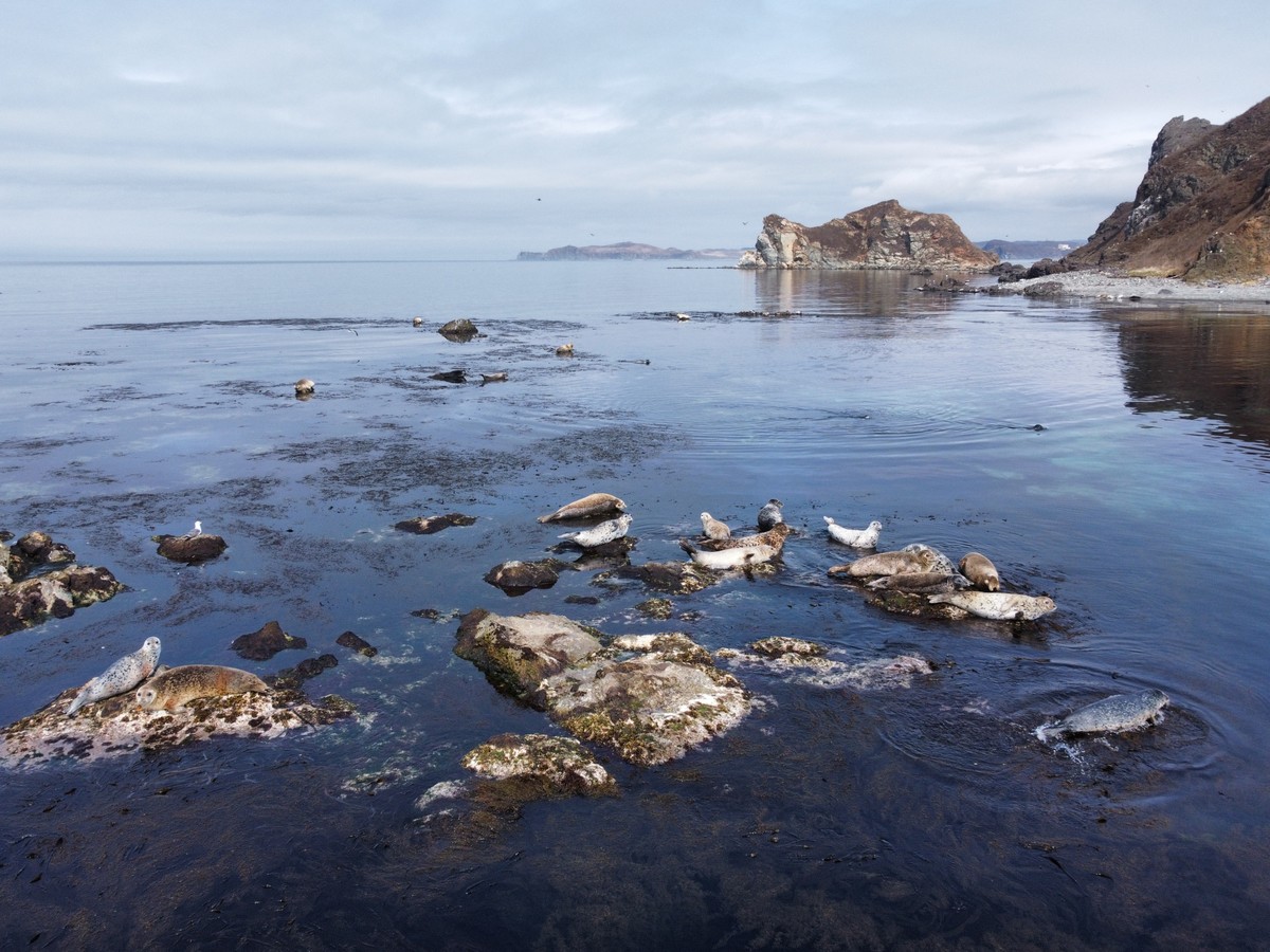 На скоростном катере — к островам Путятина и Аскольд (19/24)