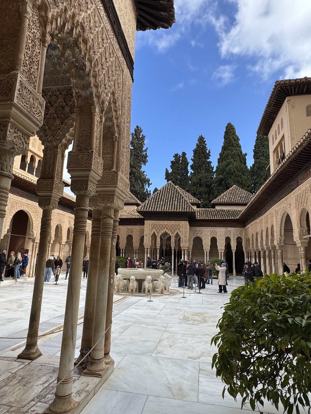 Огромное спасибо Елене за чудесную экскурсию по Альгамбре и садам Хенералифе!