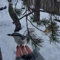 Фото отзыва 1: экскурсия "Места силы Белокурихи"