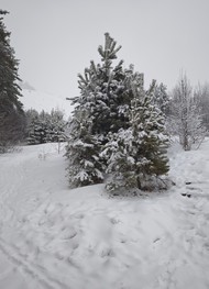 Фото отзыва 6: экскурсия "Город + горы. Обзорная экскурсия по Горно-Алтайску"