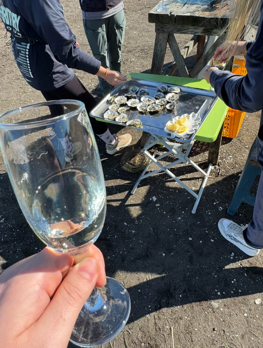 На катамаране за устрицами: в группе из Южно-Сахалинска (всё включено) (Дмитрий)