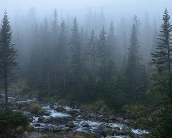 Малое Море Байкала, расслабление в бане