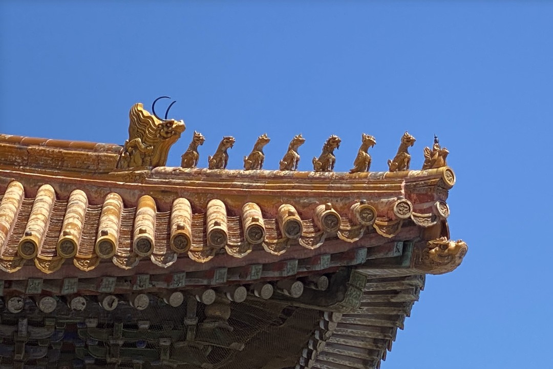 Вместе с подругой посетили эту экскурсию в июле. Это не просто прогулка по знаковым местам, а