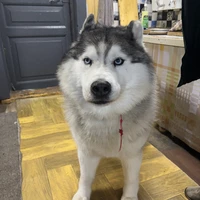 Фото отзыва 4: экскурсия ""