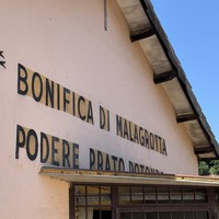 Фото отзыва 1: экскурсия "Искусство виноделия у подножия Рима — формат «Всё включено»"