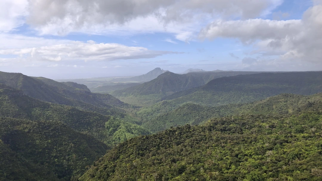 Благодарю Анну за ее профессионализм и творческий подход к экскурсии. Увидеть Мавкрикий её глазами просто невероятно!