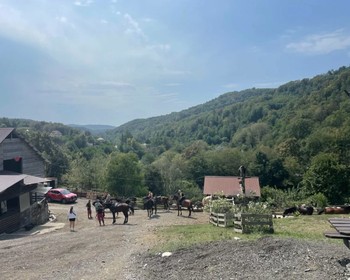 Знакомство с лошадьми, обучение и поездка в окрестностях Дагомыса