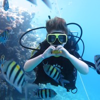 Фото отзыва 1: экскурсия "Дайвинг в Шарм-эль-Шейхе"