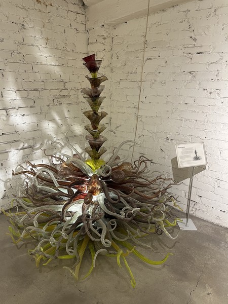 Огромное спасибо нашему экскурсоводу Василию! Невероятно интересная, живая, яркая экскурсия! Сама стеклодувная студия - это просто