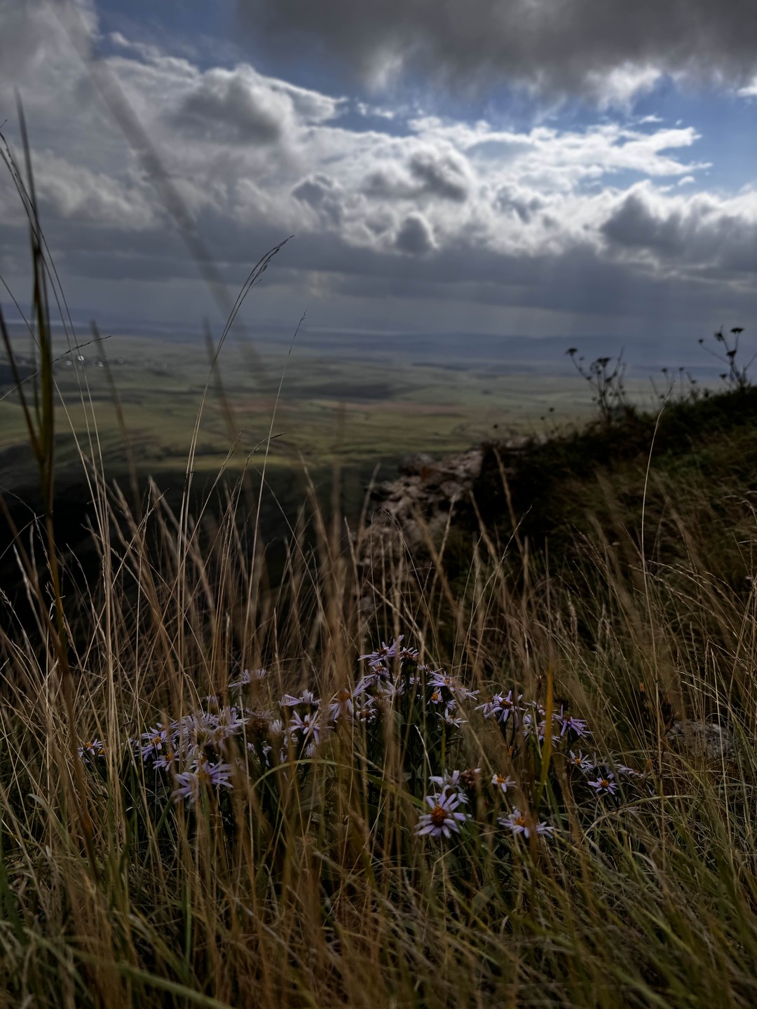 Прекрасная поездка. Из-за непогоды немного изменили маршрут, виды захватывают дух, это не передать словами, это нужно только видеть и чувствовать ❤️