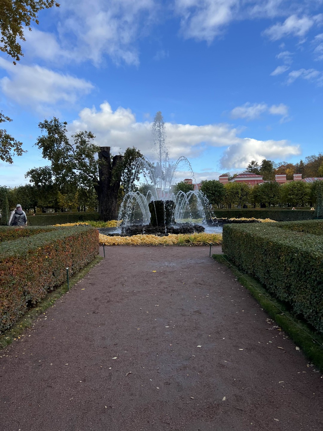 Царское Село и Петергоф в мини-группе (Денис)