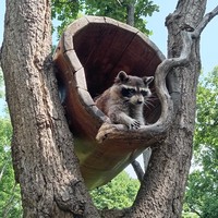 Фото отзыва 3: экскурсия "Сафари-парк и три бухты: Муравьиная, Шамора и Стеклянная (в мини-группе)"