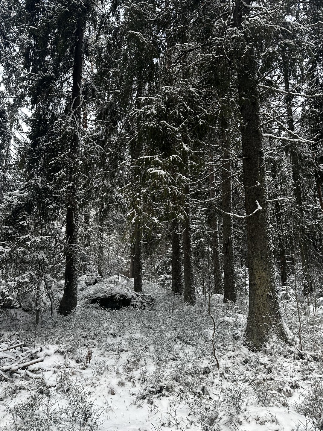 Спасибо Сергею за прогулку и подробный рассказ! Была возможность насладиться пейзажем не спеша. Узнали о быте