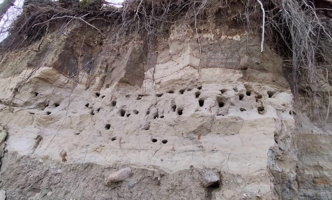 Замечательная экскурсия-настроение для тех, кто хочет отдохнуть от городской суеты и насладиться морем и уединением. Кирилл