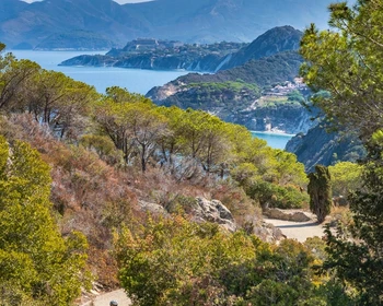 Свободный день